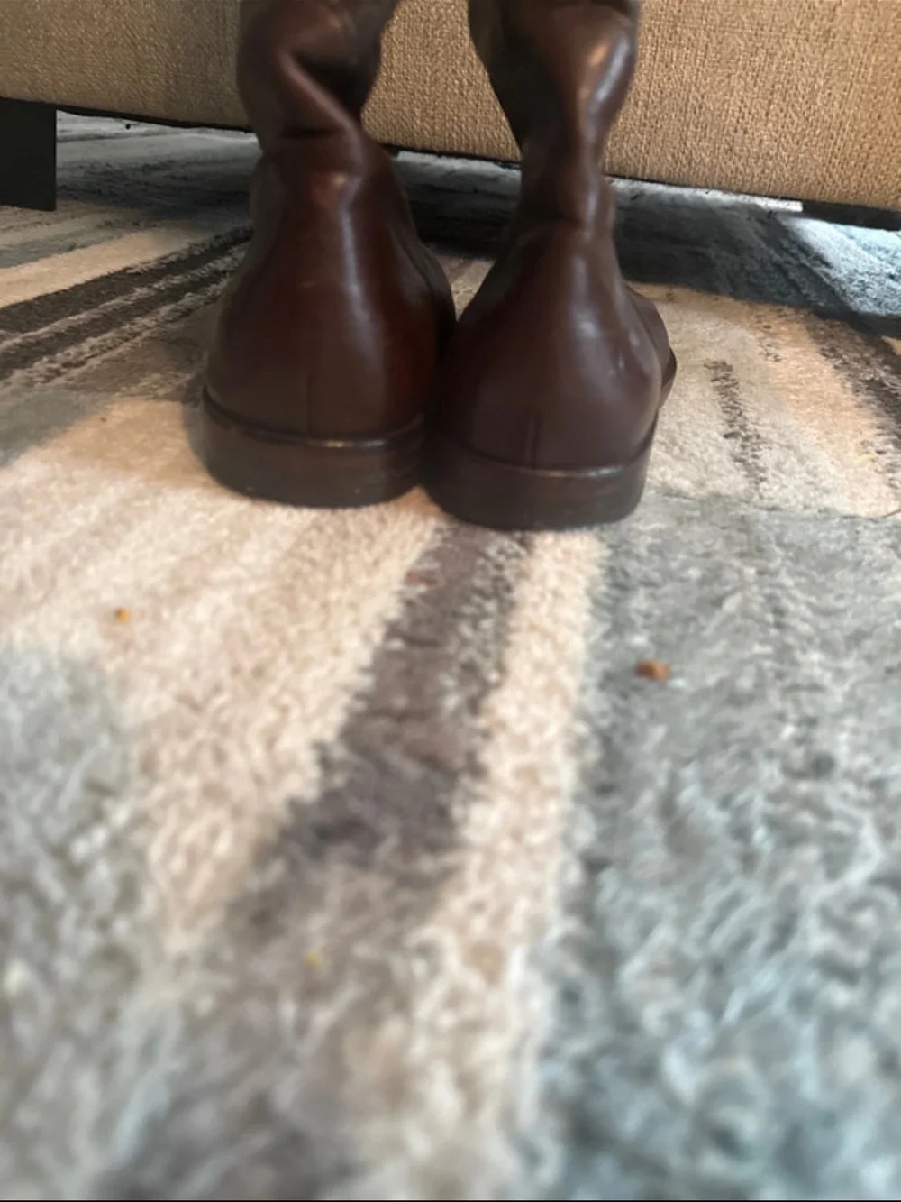 Classic Brown Leather Tall Riding Boots - COACH